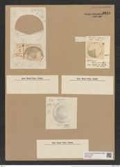 Coscinodiscus stokesianus (Grev.) Grun. (de-Toni-Nr.: Genus 202, Species 4870) Zeichnungen Sammlung Grunow Nr. 8618 (NHMW-BOT-W0378006)